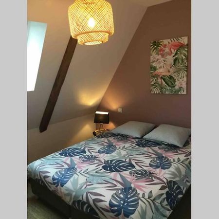 Appartement Dans Maison De 1789 Au Centre De Vitre Bagian luar foto